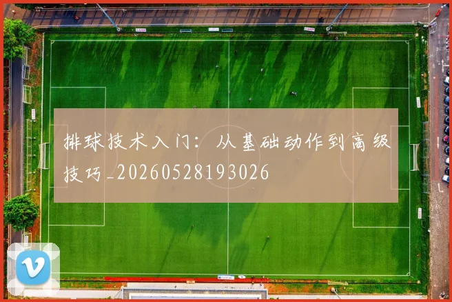 排球技术入门：从基础动作到高级技巧_20260528193026