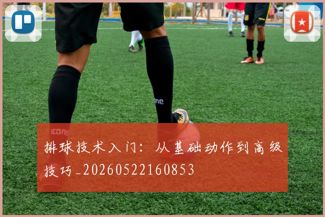 排球技术入门：从基础动作到高级技巧_20260522160853