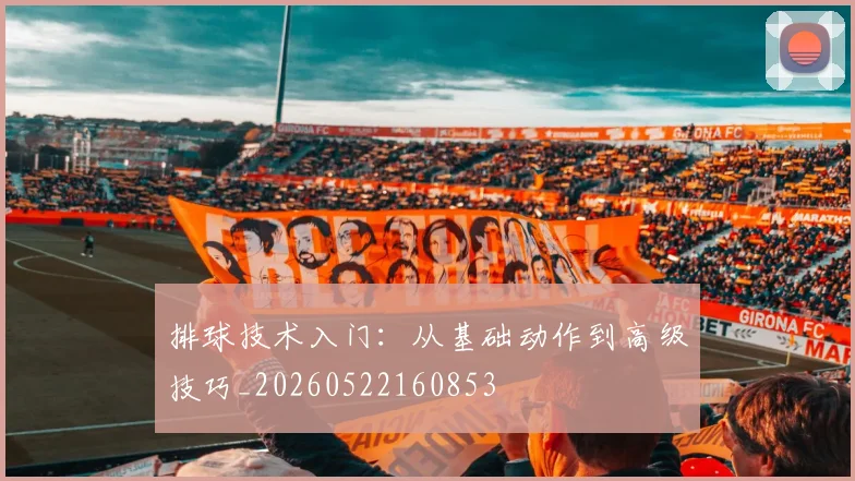 排球技术入门：从基础动作到高级技巧_20260522160853